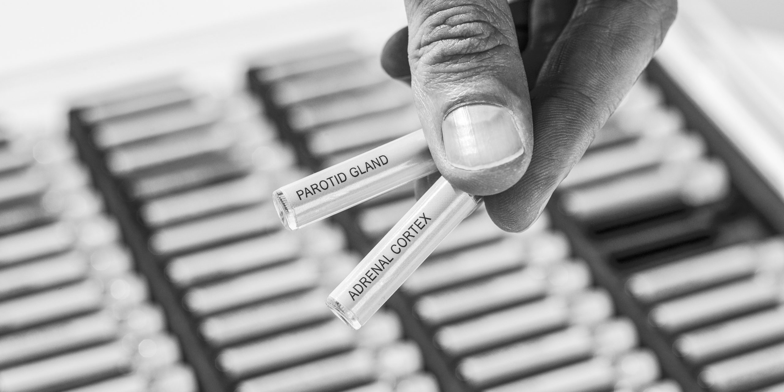 Ponette_Egwin_causopractie_causopractor