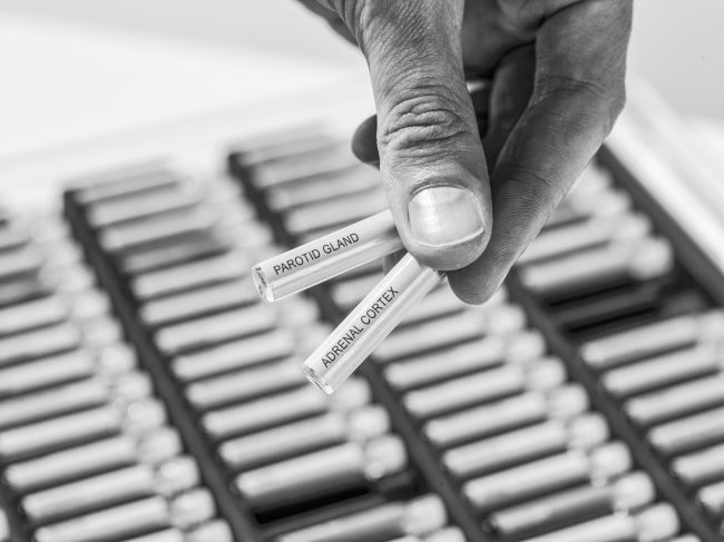 Ponette_Egwin_causopractie_causopractor