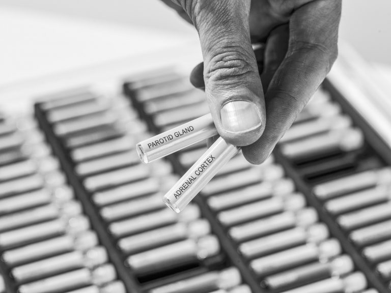 Ponette_Egwin_causopractie_causopractor