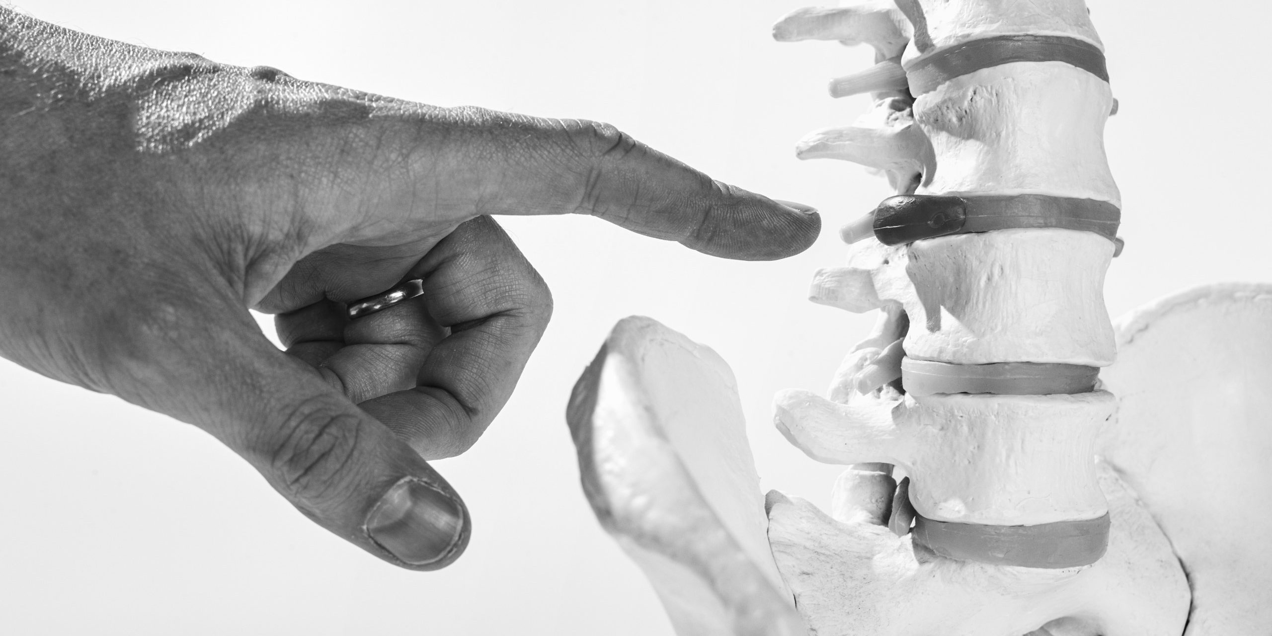 Ponette_egwin_wervelkolom