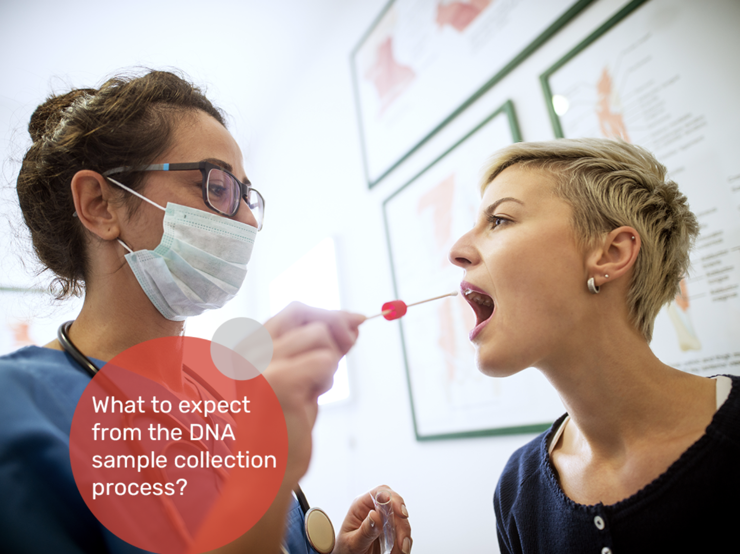 NUTRIGEN DNA TEST EGWIN PONETTE